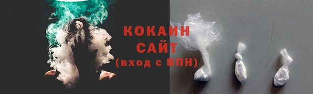индика Алзамай