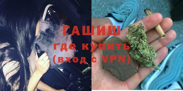 индика Алзамай