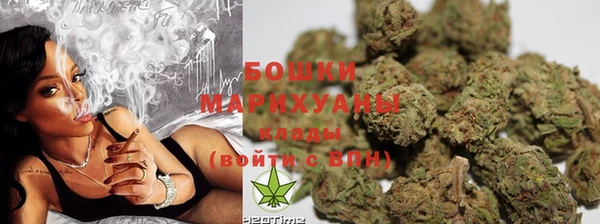 индика Алзамай