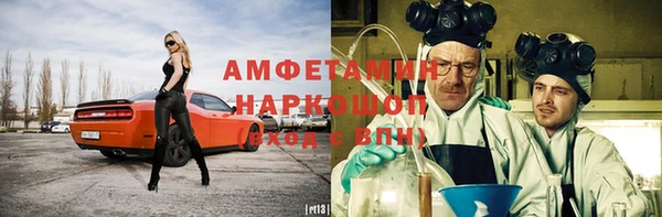 индика Алзамай