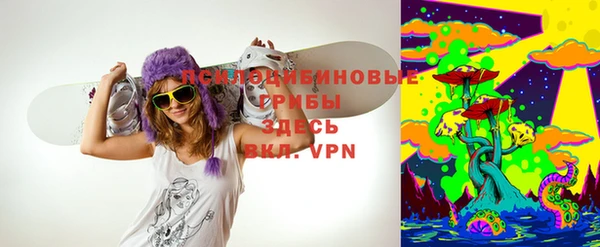 индика Алзамай