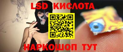 ГАЛЛЮЦИНОГЕННЫЕ ГРИБЫ Кандалакша