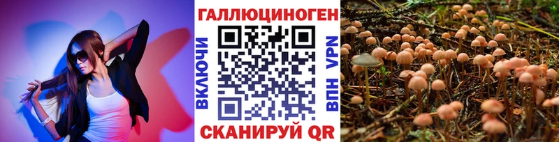 Галлюциногенные грибы Psilocybine cubensis  Ливны 