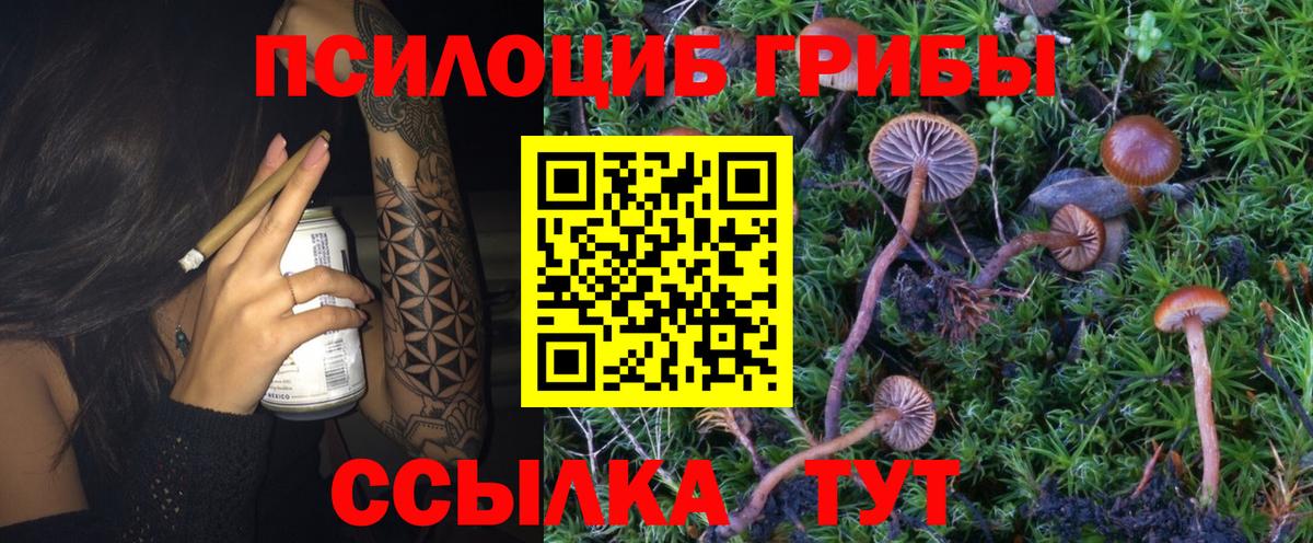 Галлюциногенные грибы ЛСД  Вход с VPN  Псилоцибиновые грибы MAGIC MUSHROOMS  Ливны 